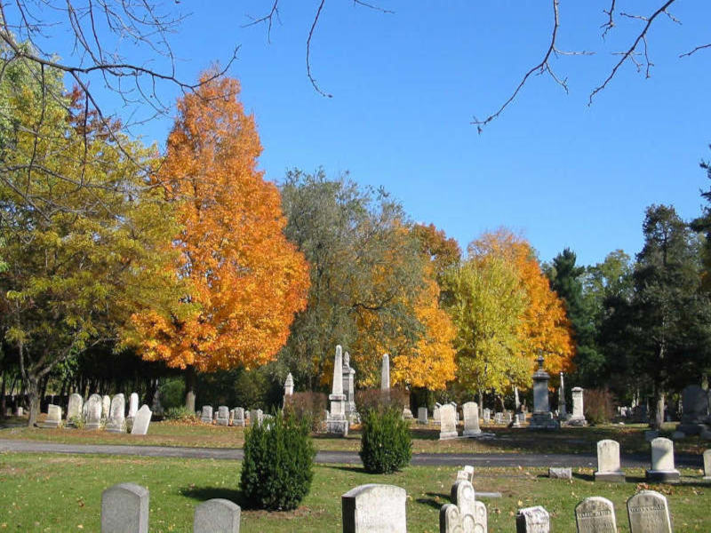 Image of historic Vale Cemetery